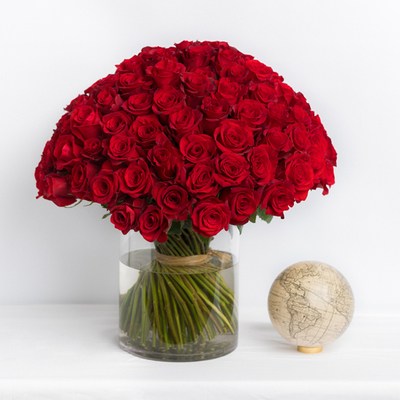 100-red-rose-arrangement-delivered-same-day-nyc-and-chicago-400x400-25900
